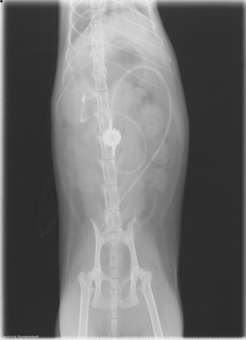 00023998 00105230 DICOM CR 2014 09 27 0005491131