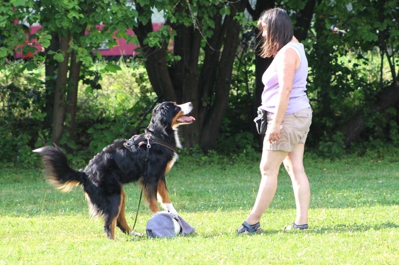 Cavaletti 06 2017 33