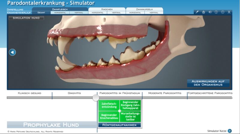 Mars4 Simulator Beratungsbereich