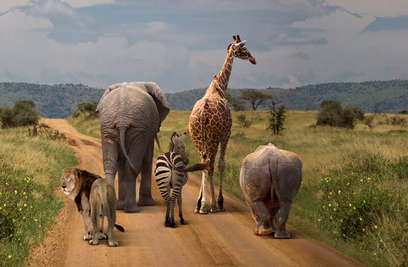 Bildschirmfoto 2020 10 22 um 15 14 11