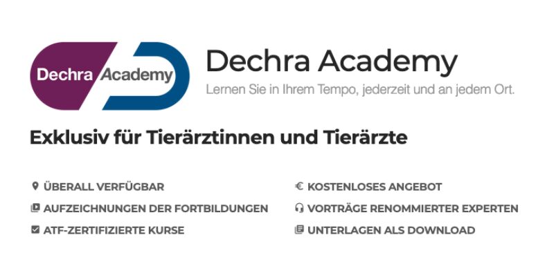 Bildschirmfoto 2020 10 29 um 09 00 56