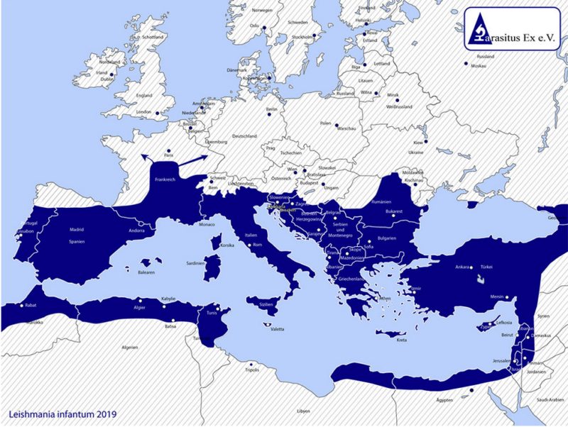 Bildschirmfoto 2019 02 18 Um 09 09 57