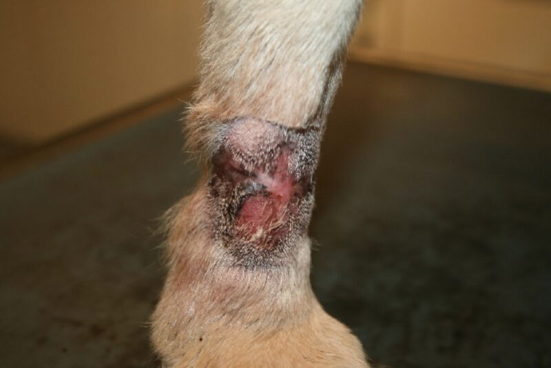 Bildschirmfoto 2020 11 24 um 07 59 26