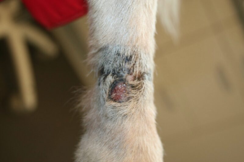 Bildschirmfoto 2020 11 24 um 07 59 15