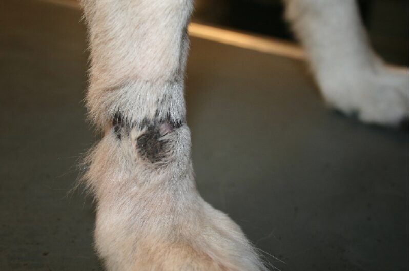 Bildschirmfoto 2020 11 24 um 07 59 07