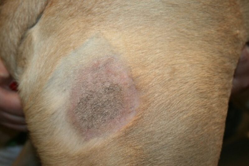 Bildschirmfoto 2020 11 24 um 08 09 17