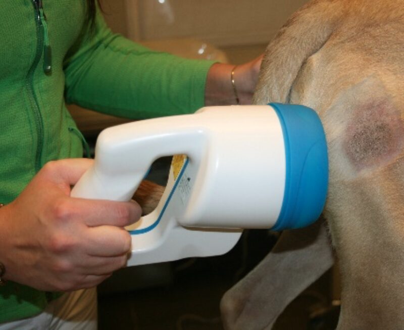 Bildschirmfoto 2020 11 24 um 08 09 27