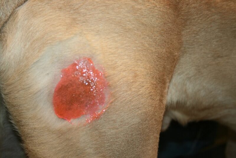 Bildschirmfoto 2020 11 24 um 08 09 38