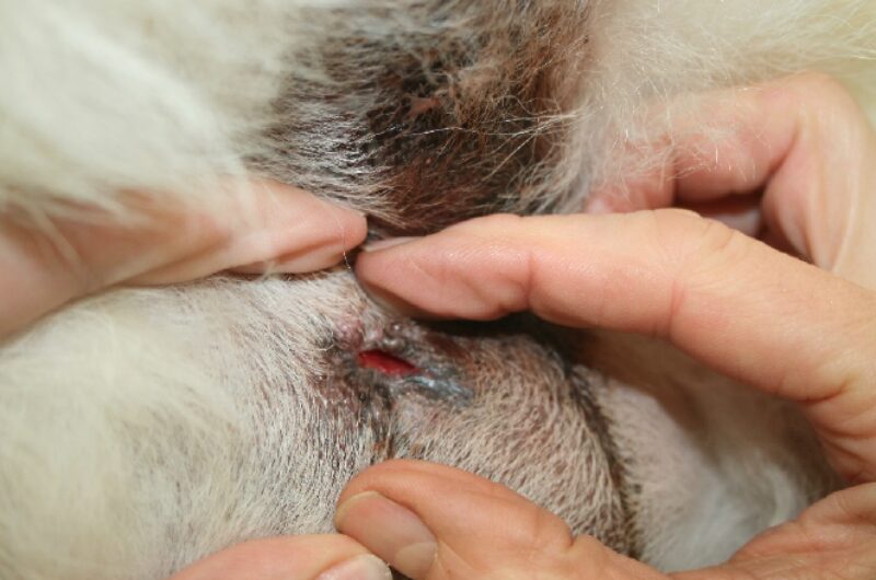 Bildschirmfoto 2020 11 24 um 08 11 30