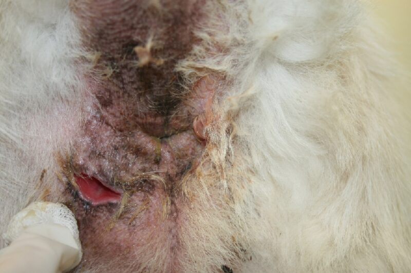 Bildschirmfoto 2020 11 24 um 08 11 20