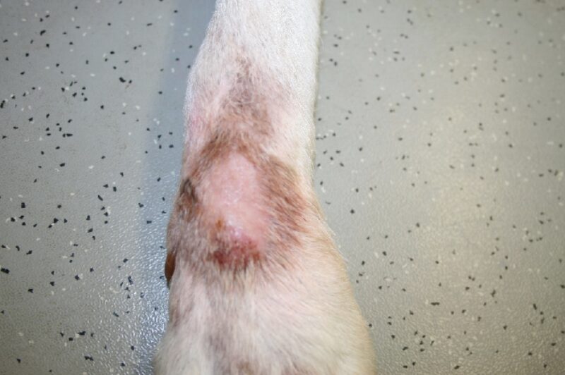 Bildschirmfoto 2020 11 24 um 08 10 55