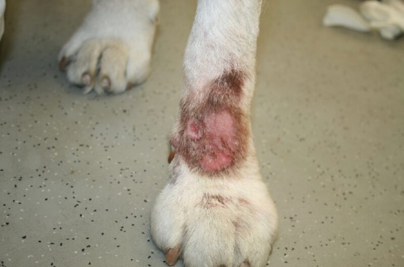 Bildschirmfoto 2020 11 24 um 08 10 48