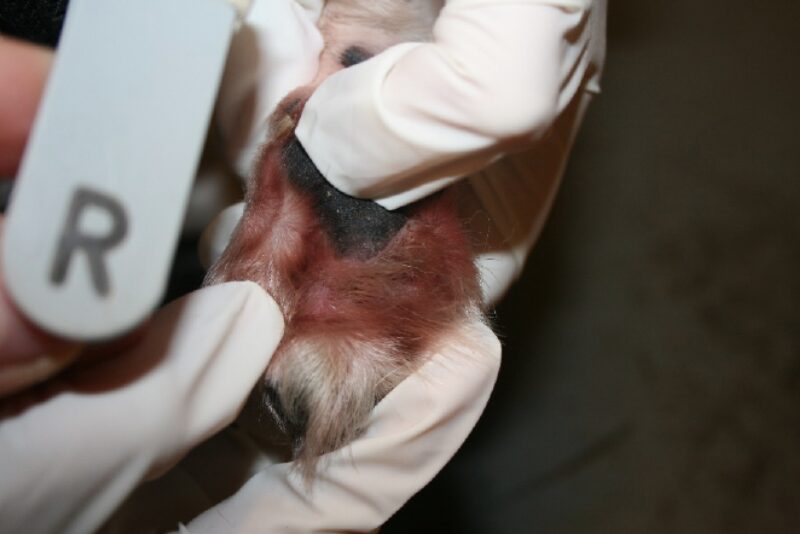 Bildschirmfoto 2020 11 24 um 08 10 25