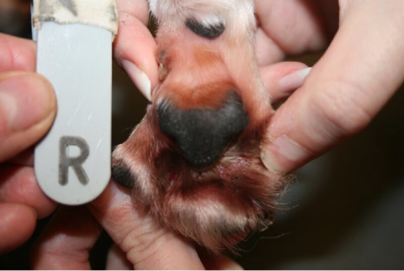 Bildschirmfoto 2020 11 24 um 08 10 17