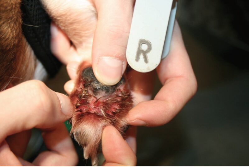 Bildschirmfoto 2020 11 24 um 08 10 08