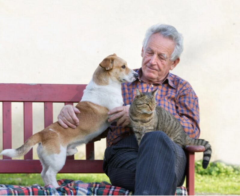 Bildschirmfoto 2020 11 28 um 17 52 07