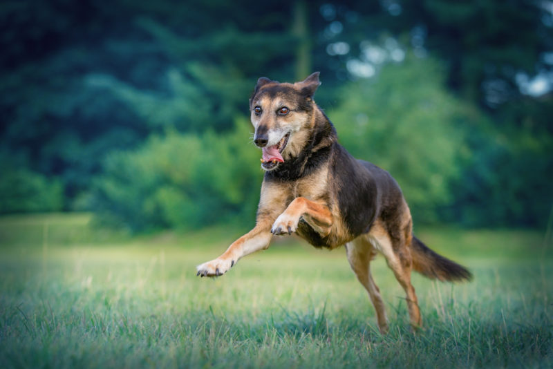 Zimpfer2 Jana Starke Fotografie