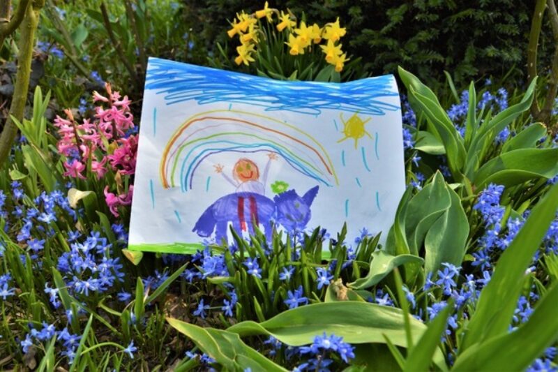 Rose 5 Abb Regenbogenbild