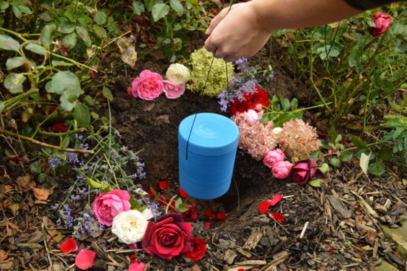 Rose 4 Abb Mensch Tier Friedhof