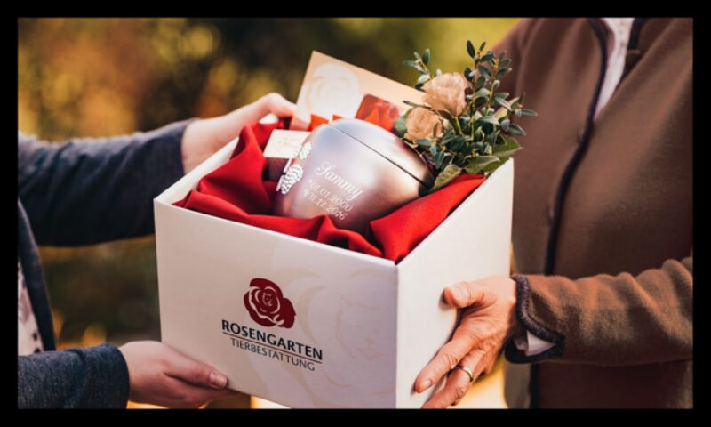 Rose 3 Urnenubergabe