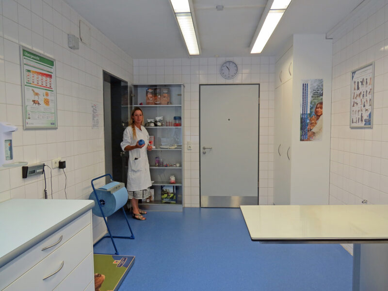 07 Freundlicher Raum Spezialsprechstunde Idealgewicht fur Hunde und Katzen LMU Munchen
