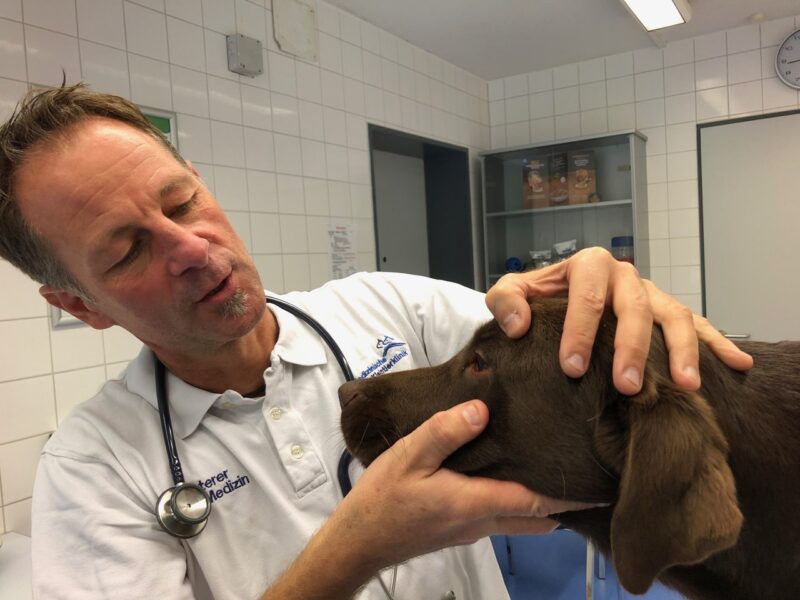 06 Augen Check 2 Nala u Dr Stefan Unterer LMU Munchen