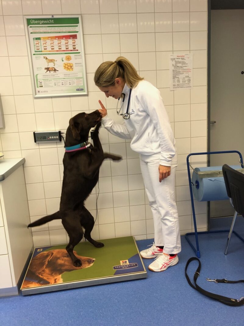 09 Nala Waage Dr Kathrin Busch LMU Munchen