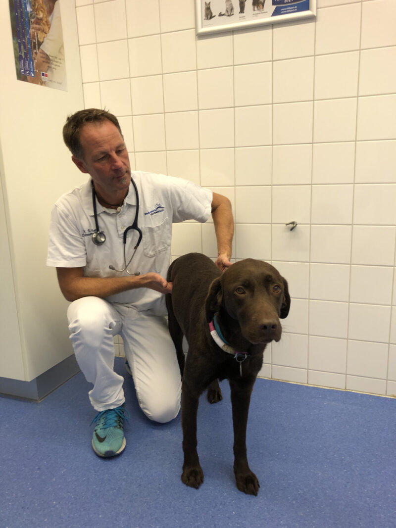 04 Abtasten 1 Dr Stefan Unterer mit Nala 9533 LMU Munchen