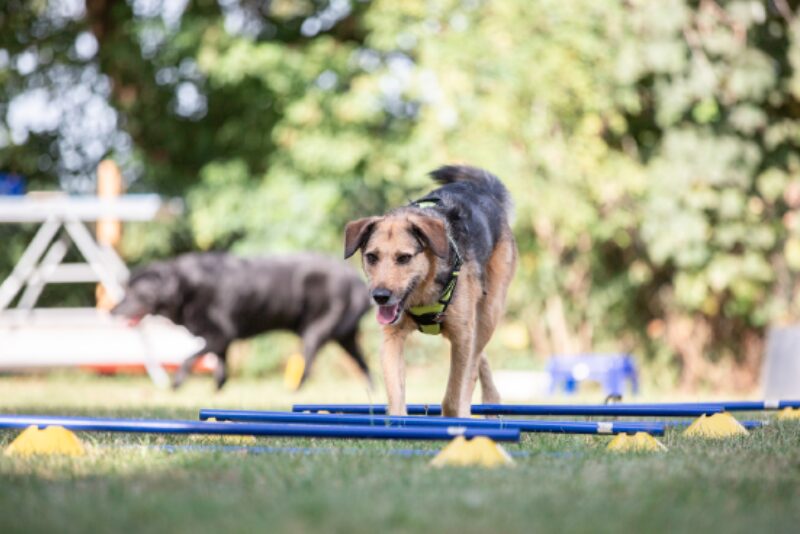 Bildschirmfoto 2021 01 12 um 06 34 53