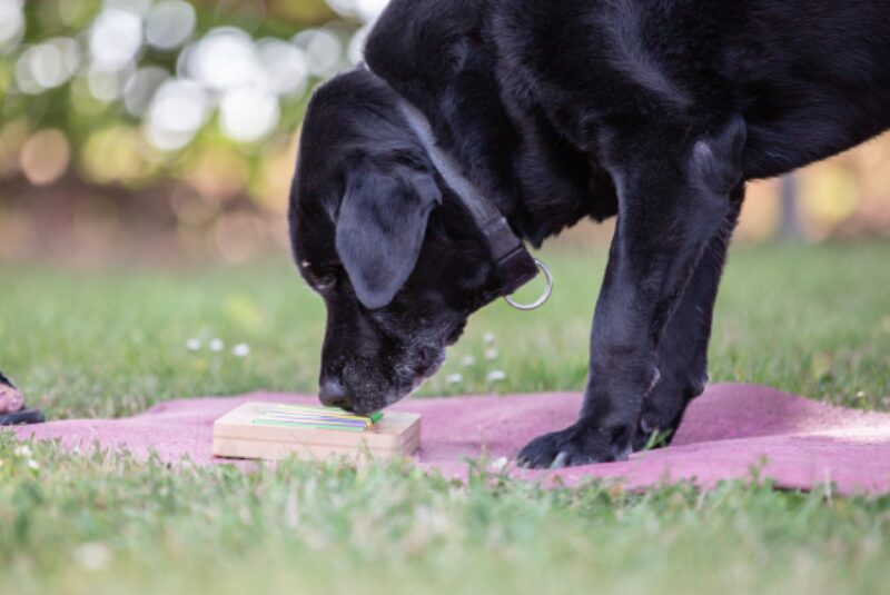 Bildschirmfoto 2021 01 12 um 06 34 43