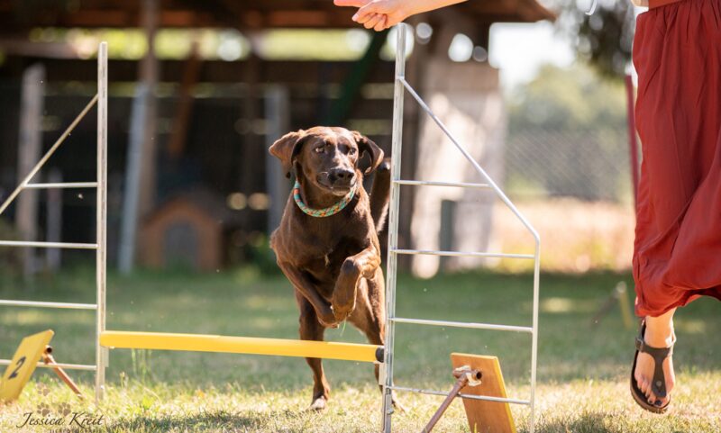 Bildschirmfoto 2021 01 12 um 06 21 47