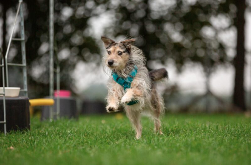 Bildschirmfoto 2021 01 12 um 07 29 13