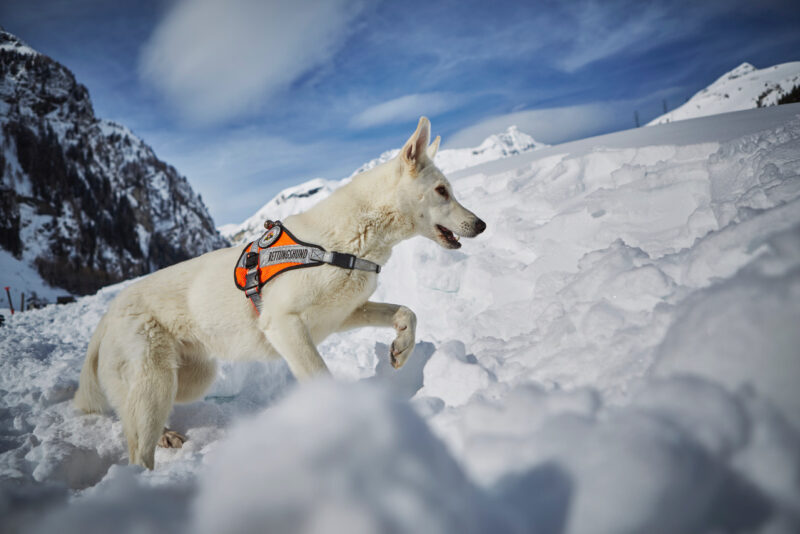 Sobotta 20180206 089