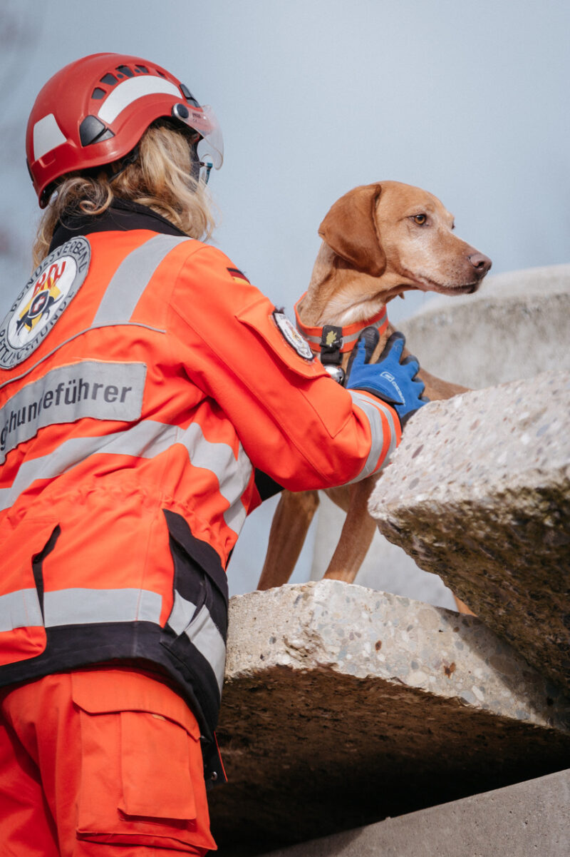 2019 11 21 Boehringer Ingelheim Mosbach 101