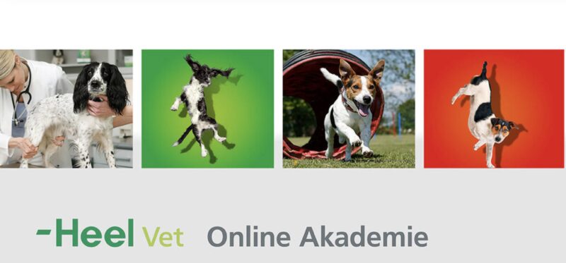 Bildschirmfoto 2021 01 25 um 13 09 38