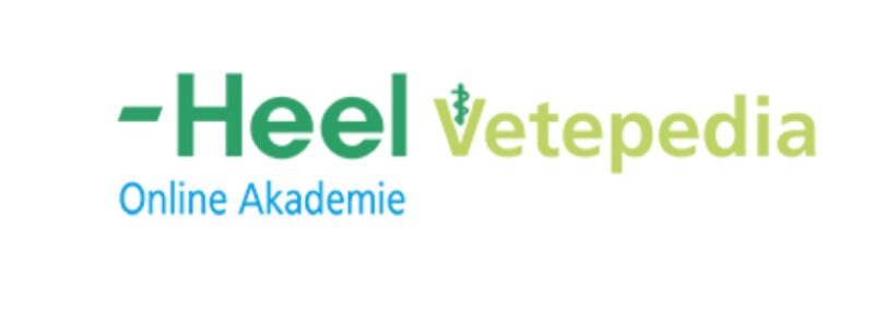 Bildschirmfoto 2021 01 25 um 13 10 31