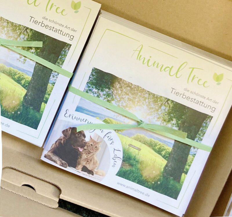 Bildschirmfoto 2021 03 17 um 07 54 34