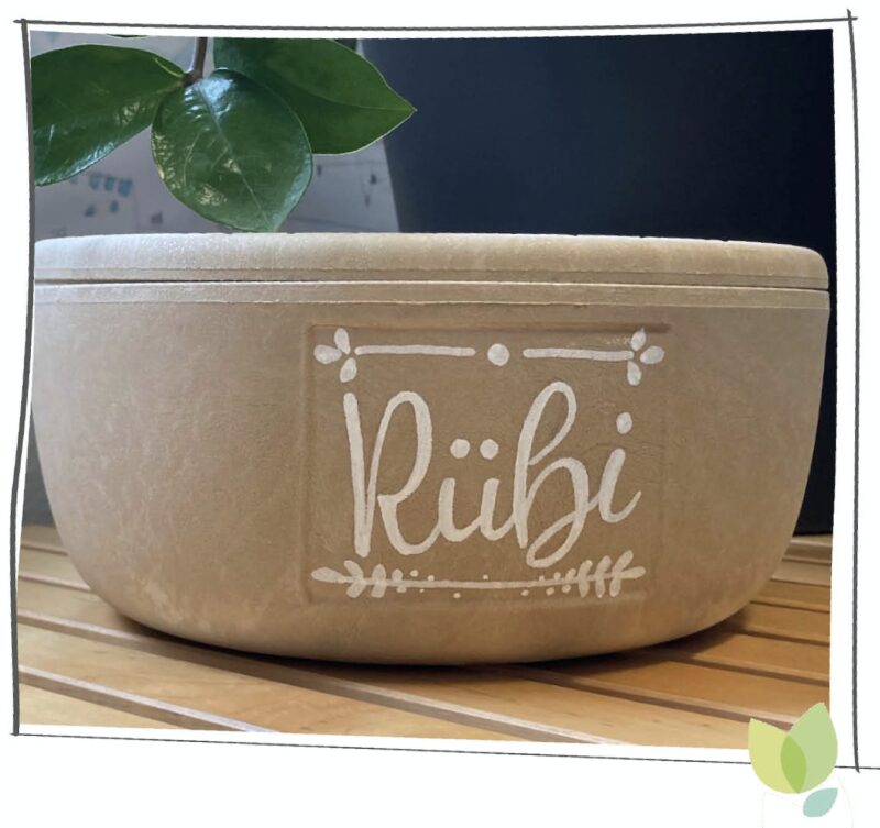 Bildschirmfoto 2021 03 17 um 07 53 56