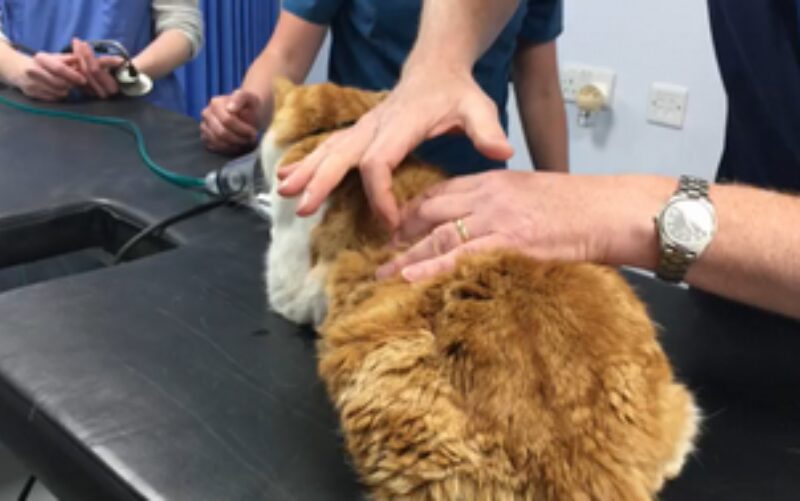 Bildschirmfoto 2021 05 24 um 15 25 24