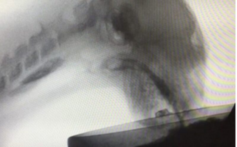 Bildschirmfoto 2021 05 24 um 15 25 17