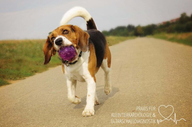 173676573 295180128895768 8902022650843277906 n