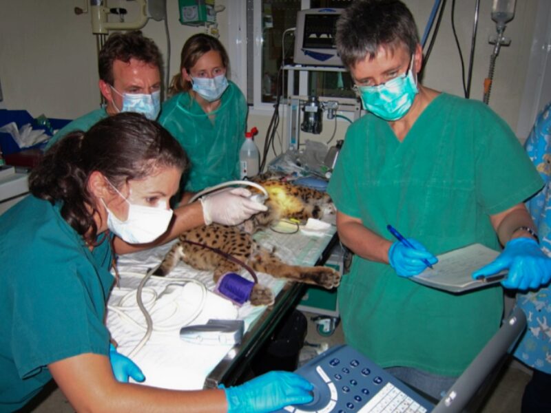 Bildschirmfoto 2021 06 08 um 09 40 50