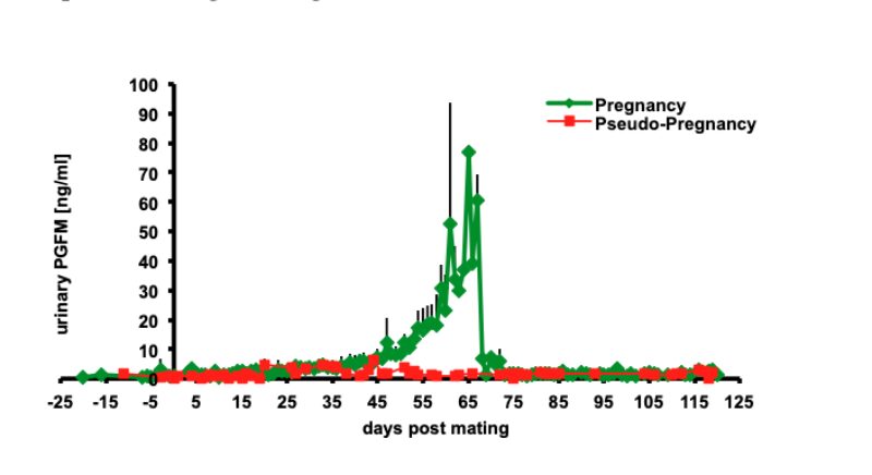 Bildschirmfoto 2021 06 08 um 09 39 47