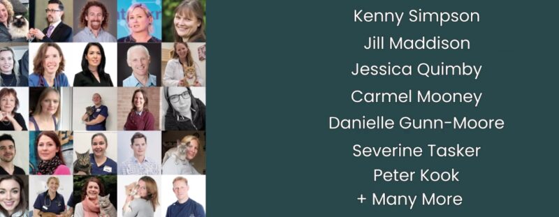 Bildschirmfoto 2021 06 21 um 19 37 04