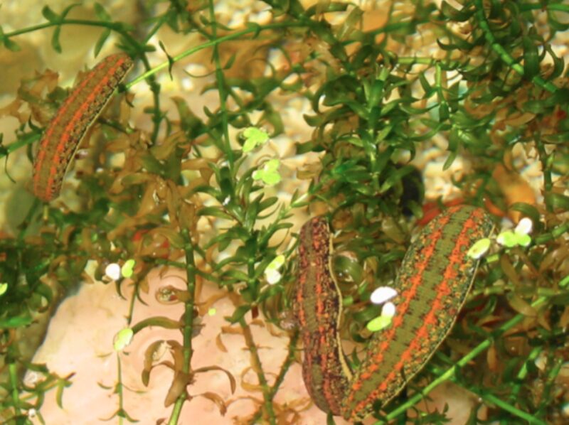 Bildschirmfoto 2021 07 04 um 19 47 00