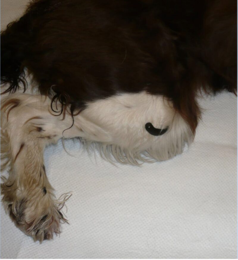 Bildschirmfoto 2021 07 04 um 19 49 00