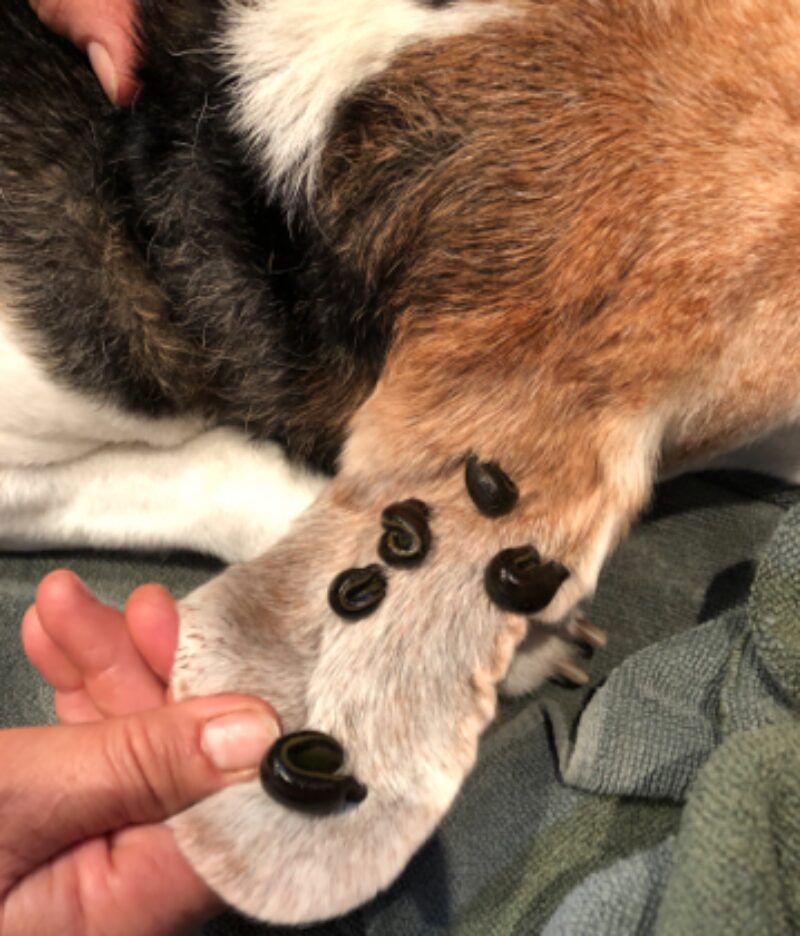 Bildschirmfoto 2021 07 04 um 19 49 46