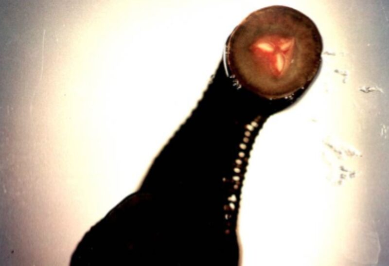 Bildschirmfoto 2021 07 04 um 19 50 40