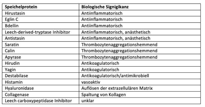 Bildschirmfoto 2021 07 04 um 20 02 39