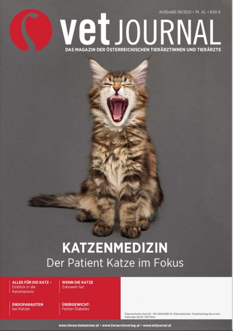 Bildschirmfoto 2021 07 09 um 13 31 41